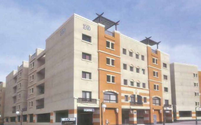 المباني السكنية بالقصر